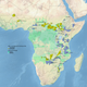 Illustration for article titled Data-Collecting Planes Are Counting Africas Elephants to Curb Poaching